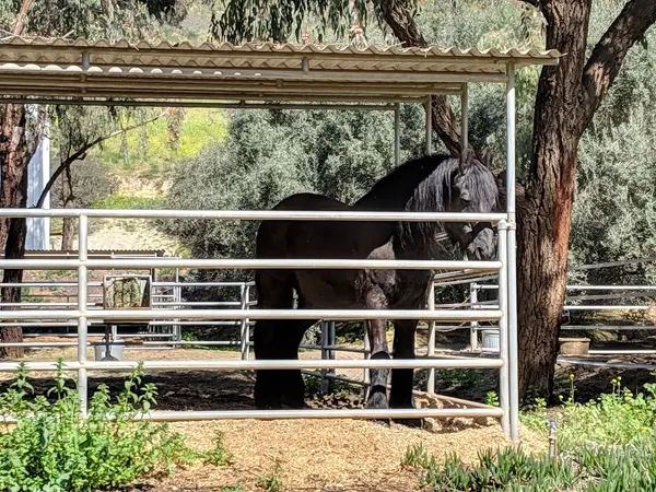 Sycamore Canyon Stables, photo 1