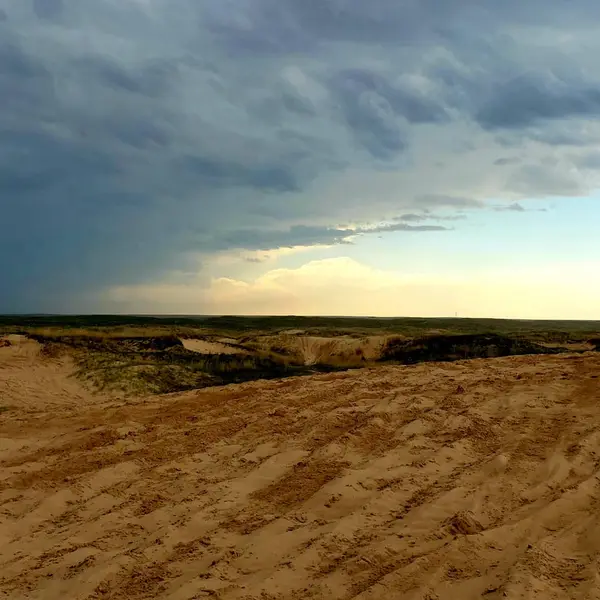 Syracuse Sand Dunes