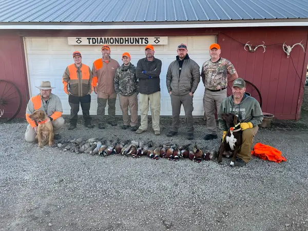 T Diamond Hunts