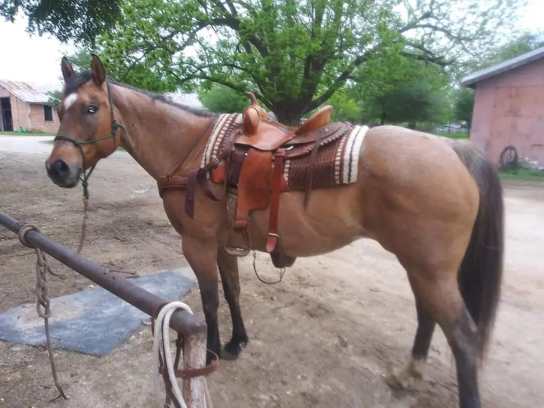 T Slash Bar Ranch