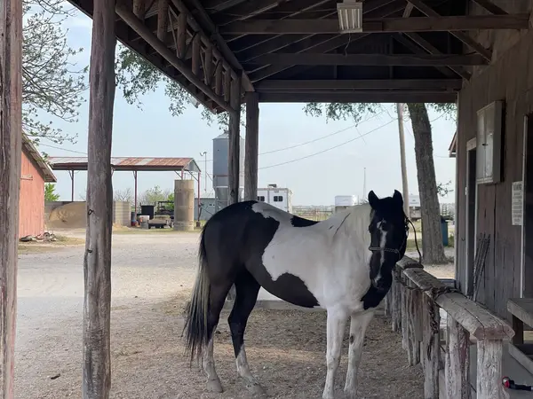 T Slash Bar Ranch, photo 1