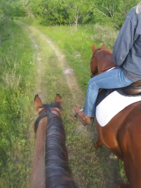 T Slash Bar Ranch, photo 3