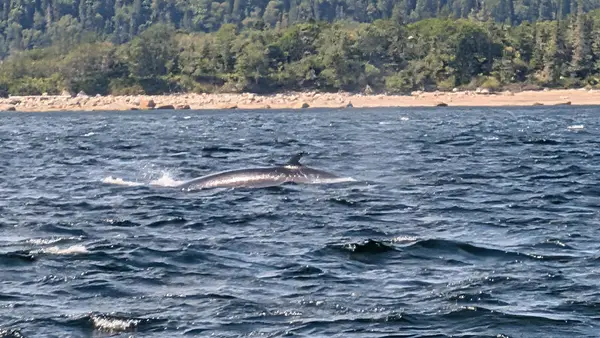 Tadoussac Autrement, photo 2