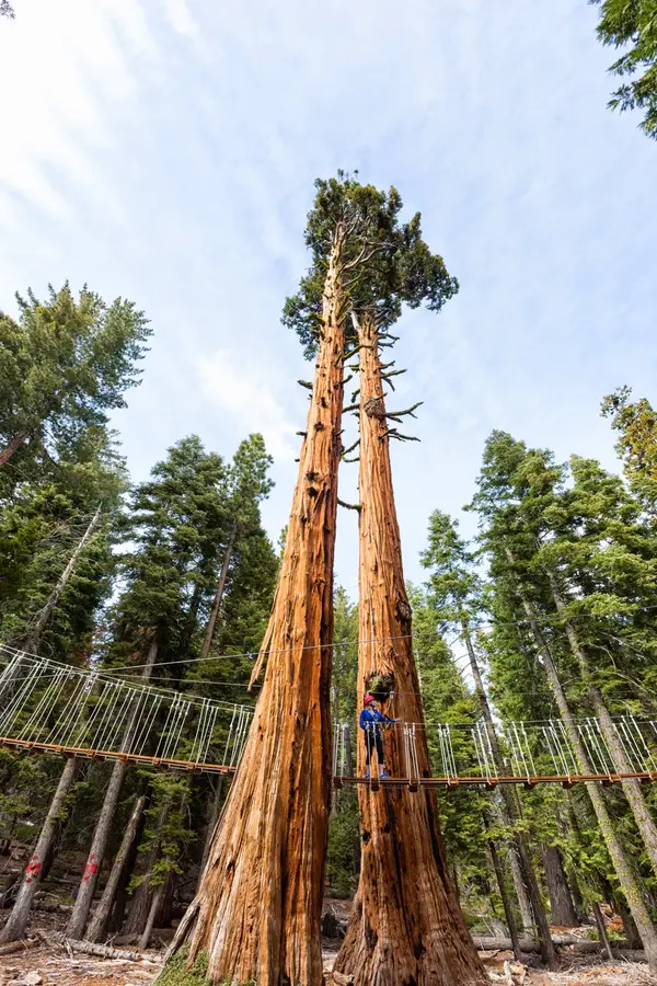 Tahoe Treetop Adventure Parks, Tahoe City, CA