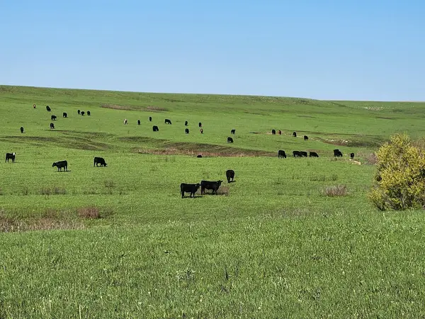 Tallgrass Prairie National Preserve