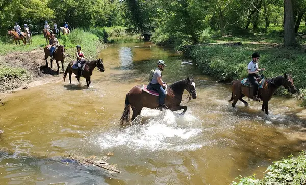 Tamarack Stables