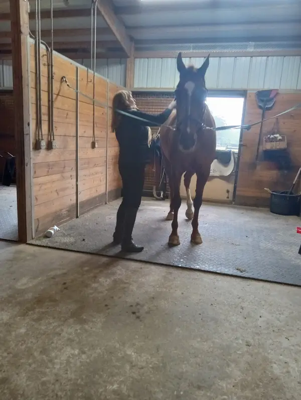 Tamarian Farms Equestrian Center, photo 2