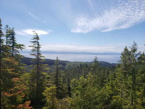 Tansky Off-road Vehicle Riding Area (VIDRA), photo 4