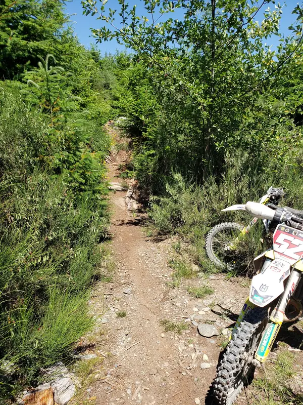 Tansky Off-road Vehicle Riding Area (VIDRA), photo 3