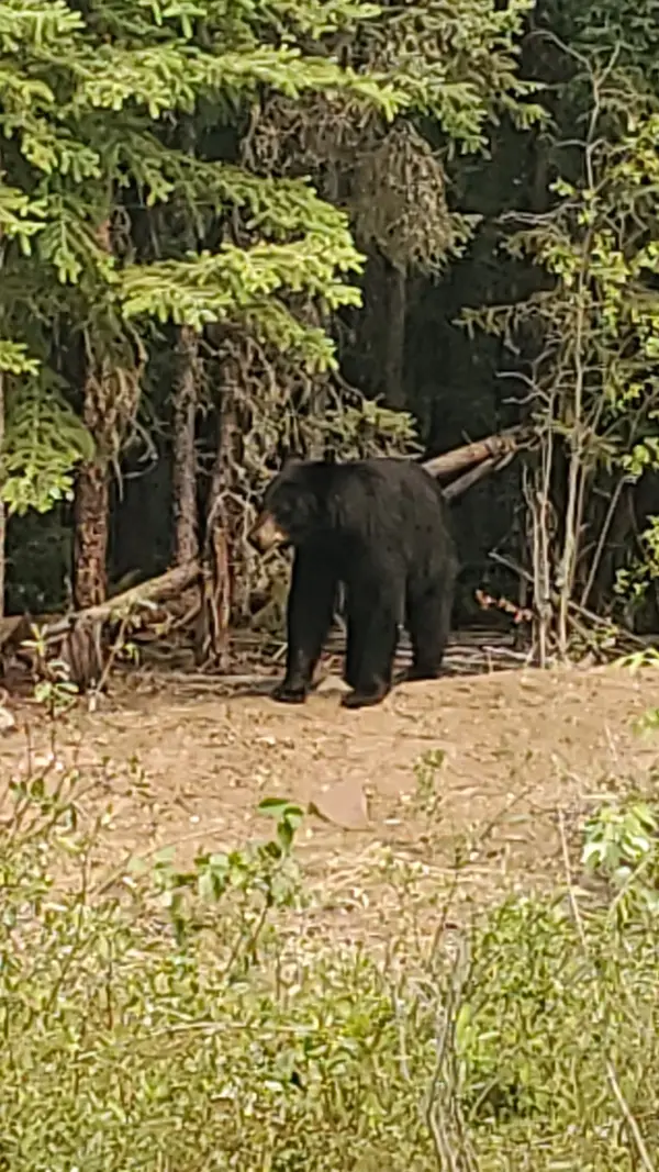 Tapawingo Lodge, photo 1
