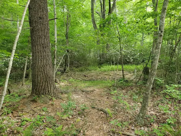 Taskers Gap OHV