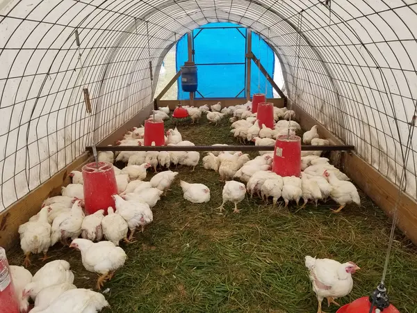 Taylor Family Farm, Ethridge, TN