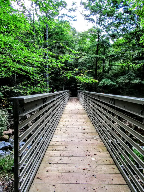 Tea Creek Campground