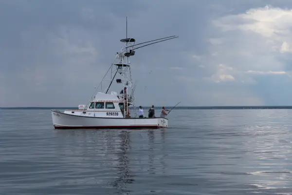 TeazerCharter-Portland Maine Deep Sea Fishing, South Portland, ME