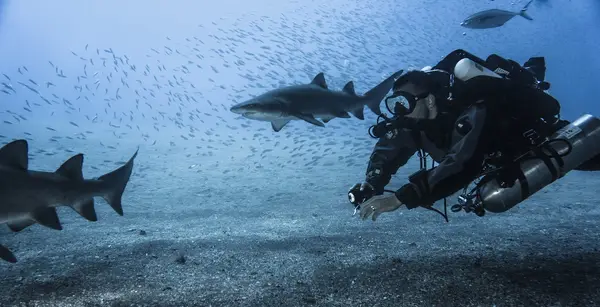 Tec Dive Gear -Tech & Rec Scuba Diving Gear and Training