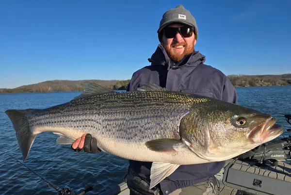 Tennessee River Monsters Fishing Guide Service - Striper & Catfish