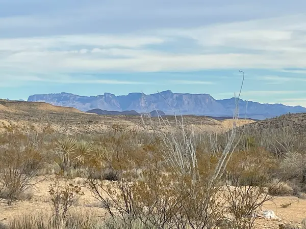 Terlingua Off-Road Tours