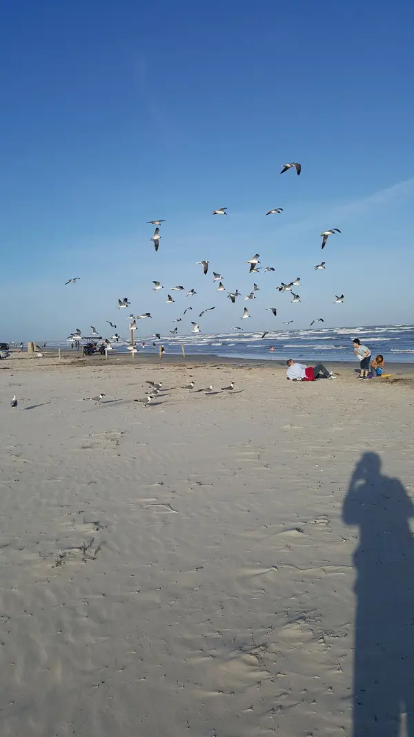 Texas Surf Camps - Port Aransas, photo 2