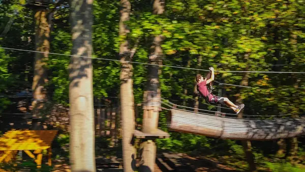 The Adventure Park at Storrs, Storrs, CT