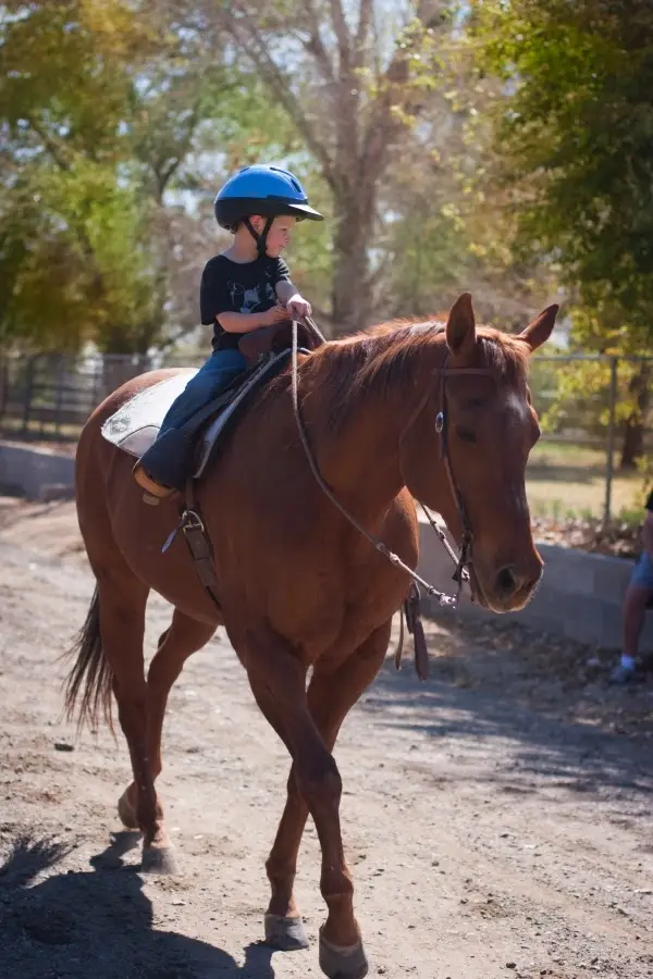 The Barn at Tumbling T Ranch