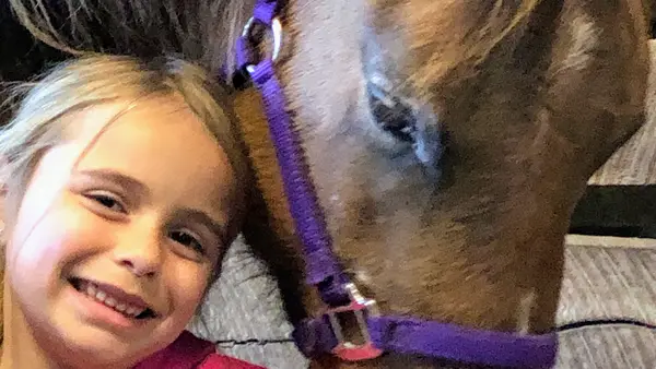 The Barn-Riding Lessons