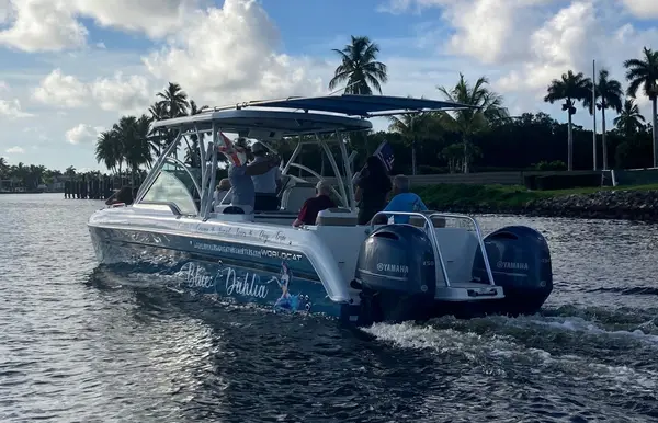 The Blue Dahlia Private Charters LLC