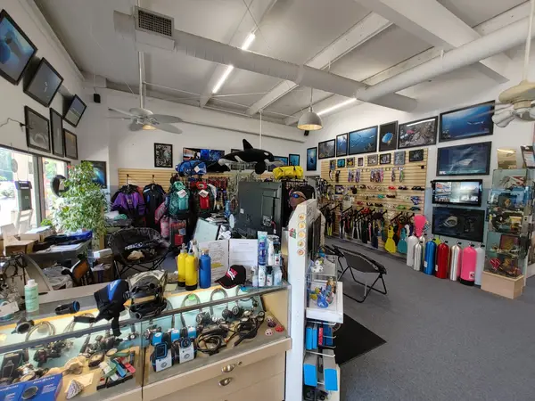 The Dive Shop On McEver