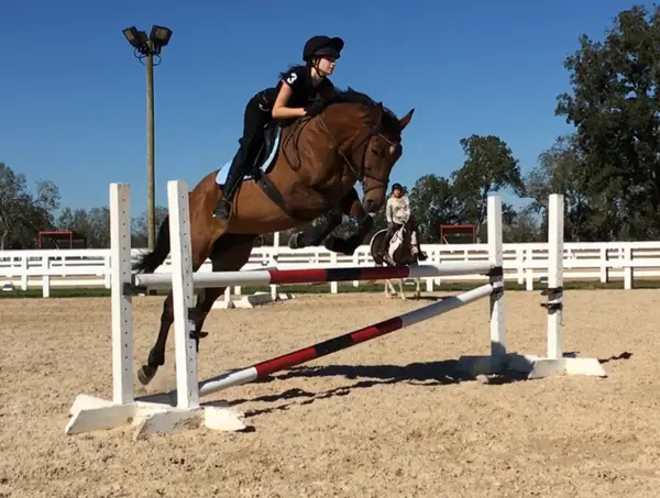The Equestrian Center at Twinwood, photo 3