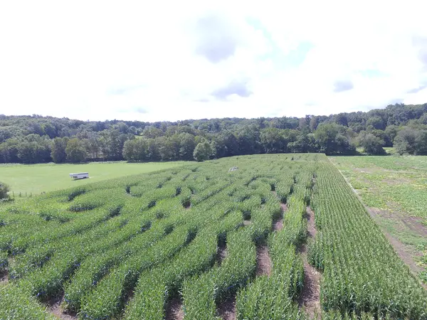 The Farm, Woodbury CT, Woodbury, CT