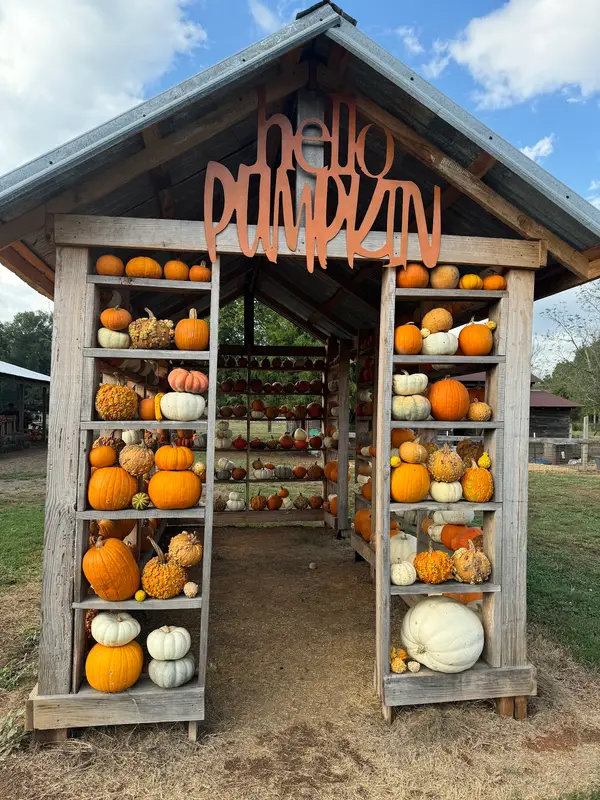 The Father's Field Pumpkin Patch & Market Place, Plainview, AR