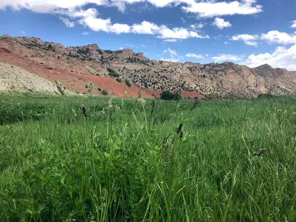 The Forbes Family Farm at Sheep Creek Ranch, Manila, UT