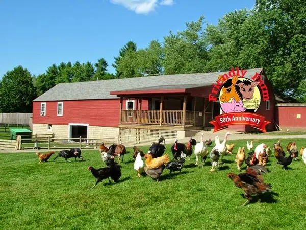 The Friendly Farm, Dublin, NH