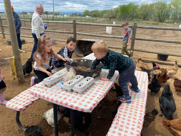 The Giggling Life Care Farm, Brighton, CO