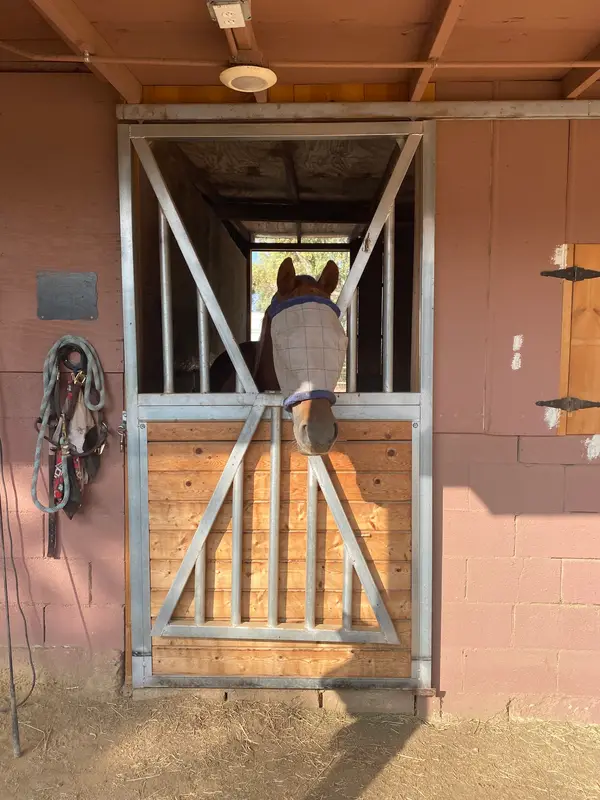 The Golden Horse Ranch, photo 1