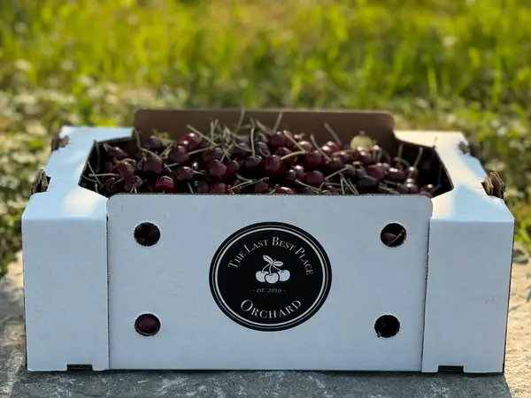 The Last Best Place Orchard, LLC, Bigfork, MT