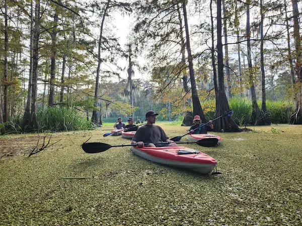 The Last Wilderness Eco-Swamp Tours