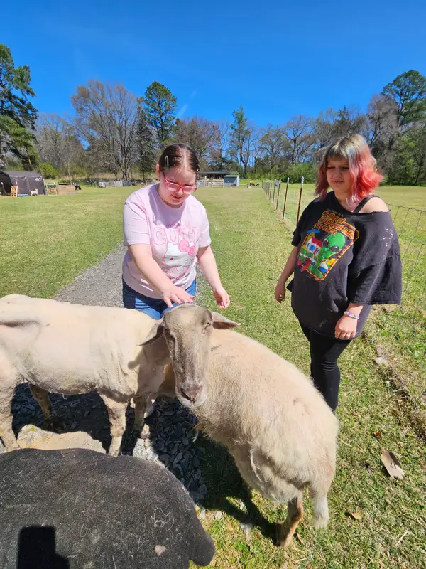 The Mayberry Farm, Adventure for Kids Ozark , AR, Ozark, AR
