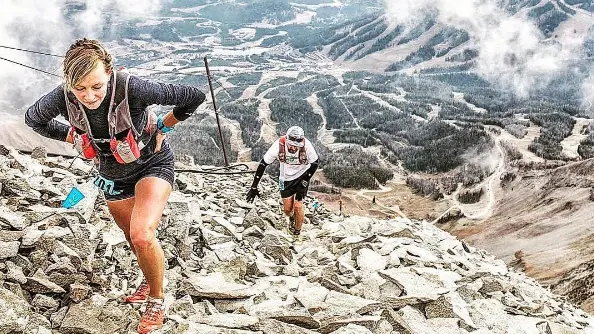 The Mountain Project