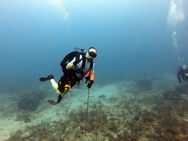 The Ohana Dive Company, LLC