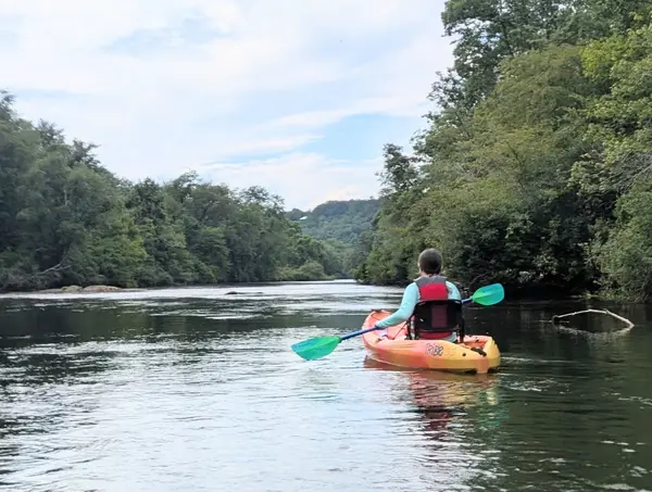 The Paddle Zone