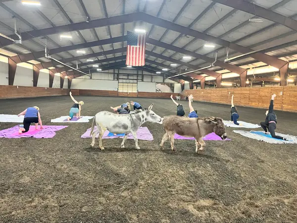The Ranch