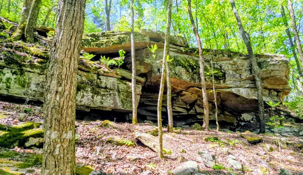 The Ridge Outdoor Resort & Off-Road Park
