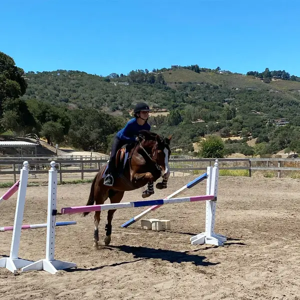 The Riding Academy