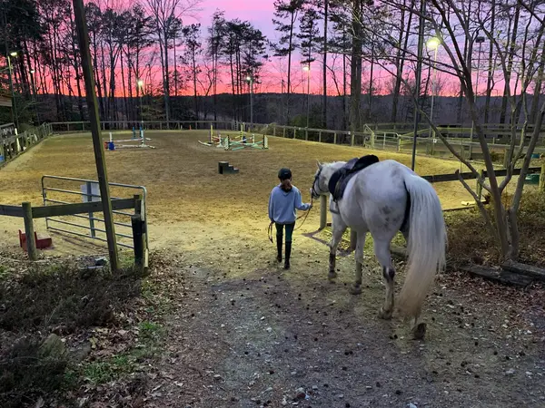 The Riding School