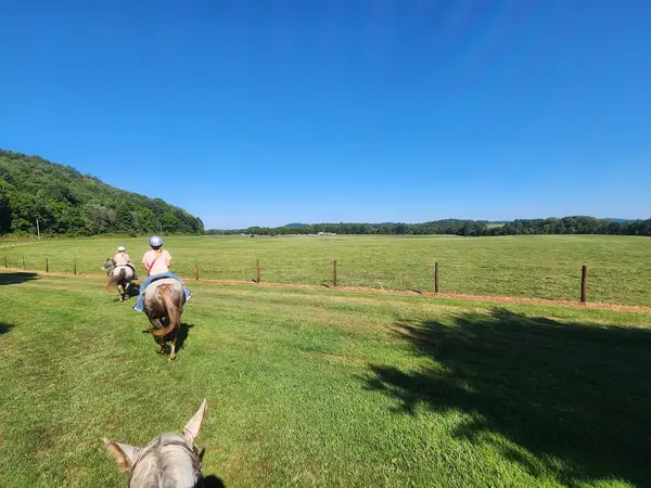 The Spotted Horse Ranch, Laurelville, OH