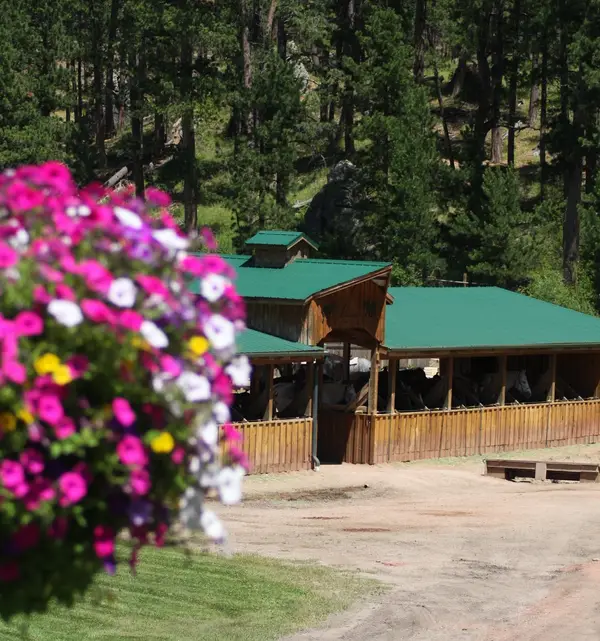 THE STABLES at Palmer Gulch, Hill City, SD