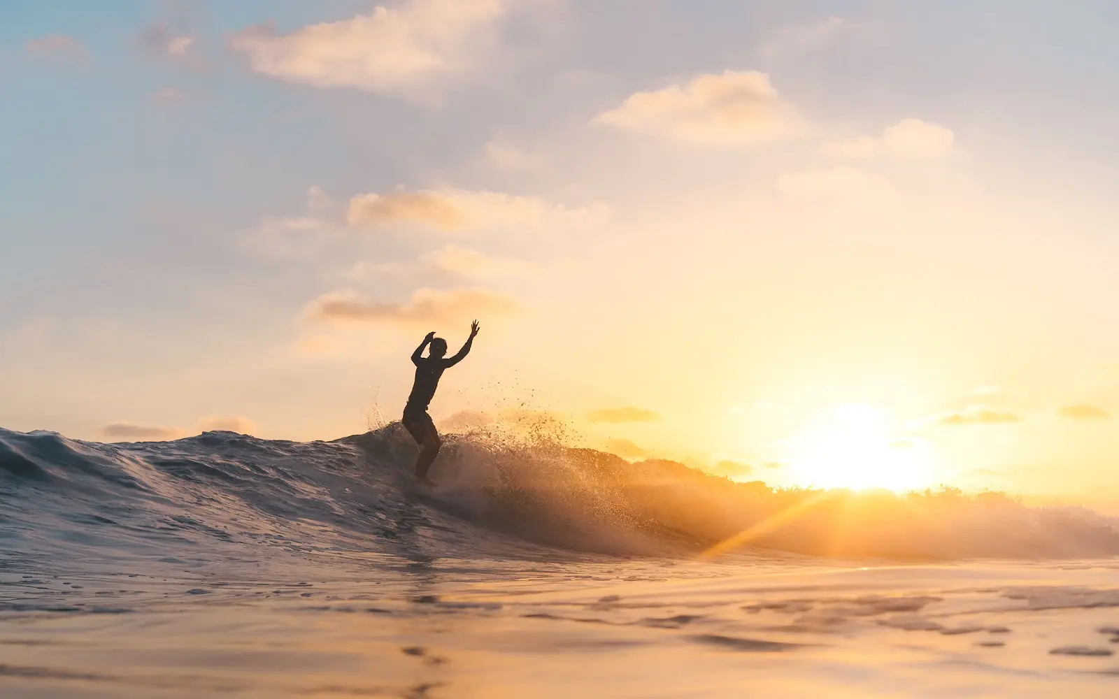 TheCaliCamp Surf Camp