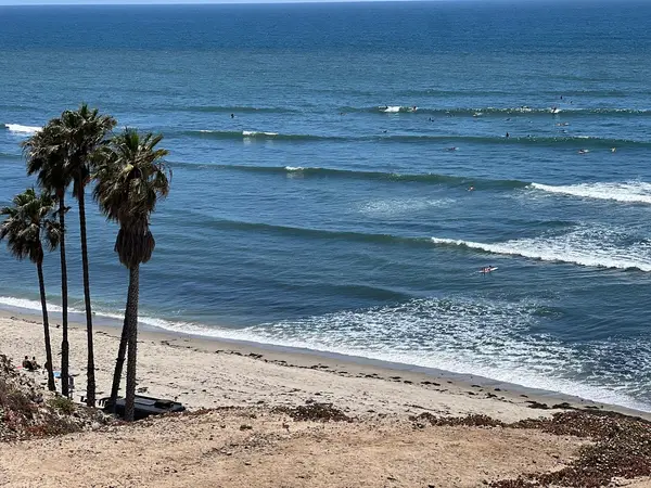 TheCaliCamp Surf Camp, photo 2