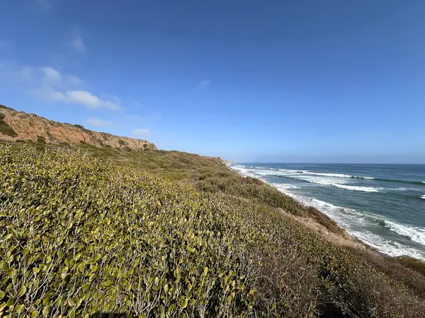 TheCaliCamp Surf Camp, photo 3