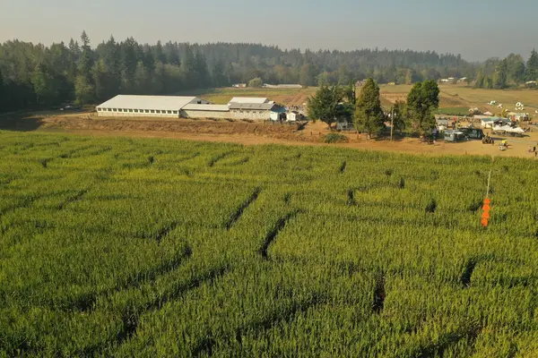 Thomasson Family Farm, Enumclaw, WA